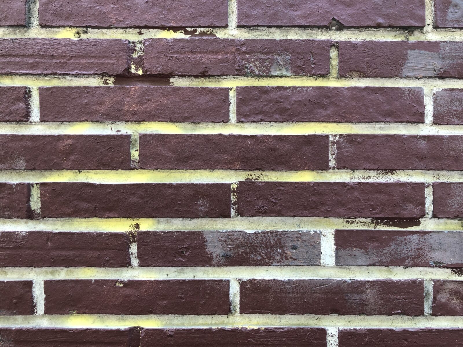IMG 8967